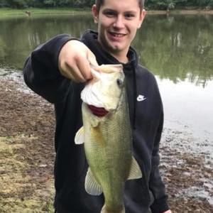 Meet your Posher, Tanner